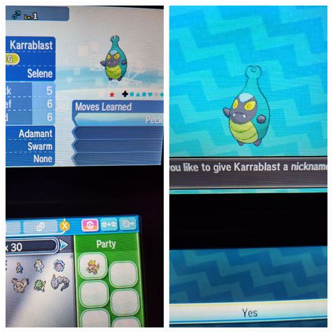 masuda method|masuda method with shiny charm.